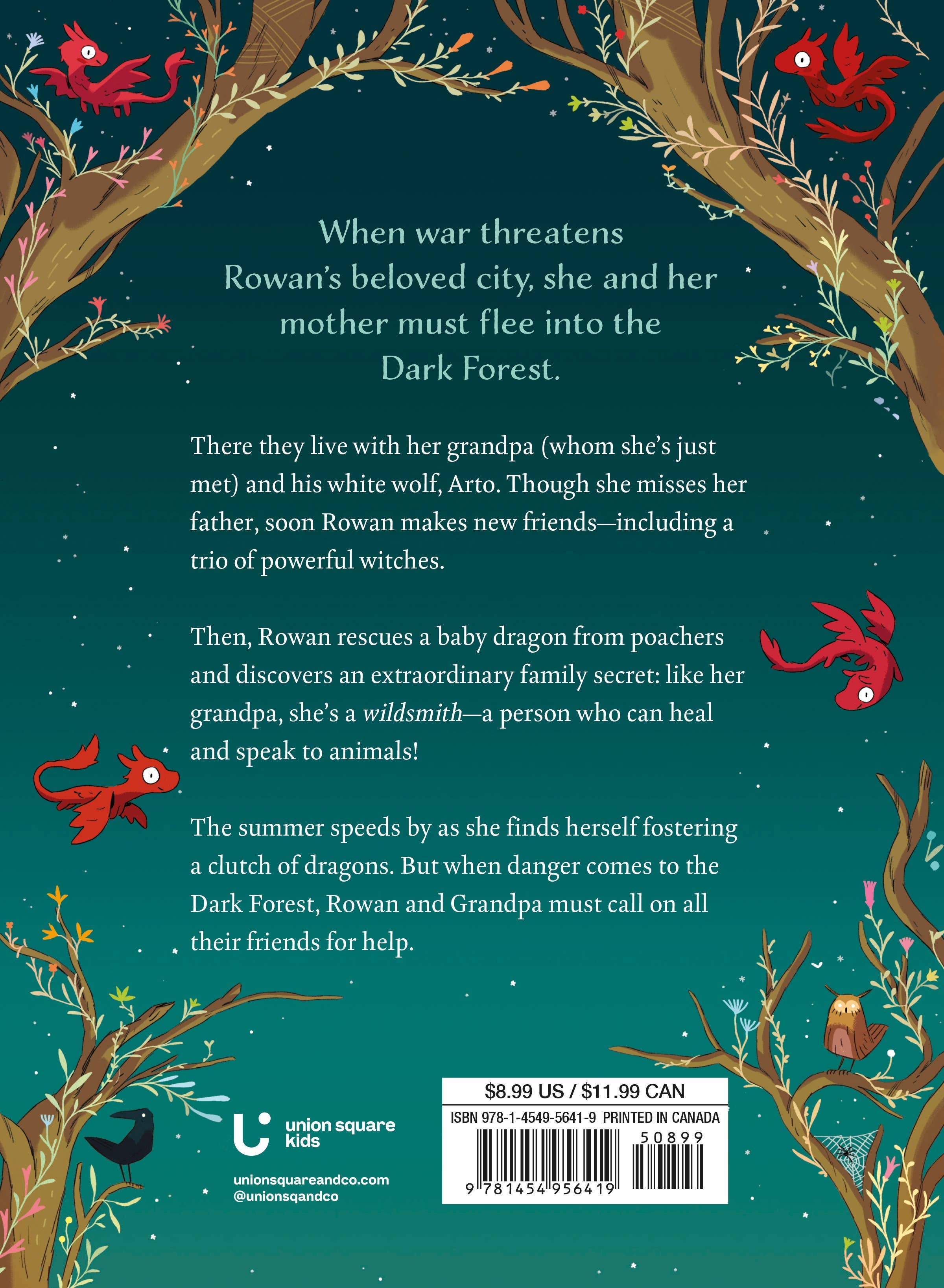 Wildsmith: Into the Dark Forest by Liz Flanagan