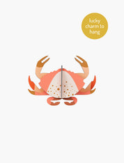 Crab 3D Wall Art Craft Kit - Lucky Charm to Hang