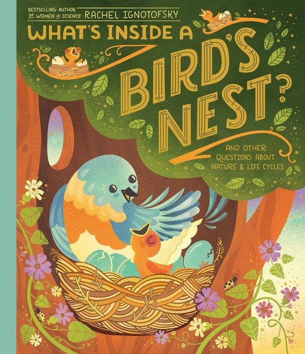 What's Inside A Bird Nest?