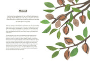 Tree Lore