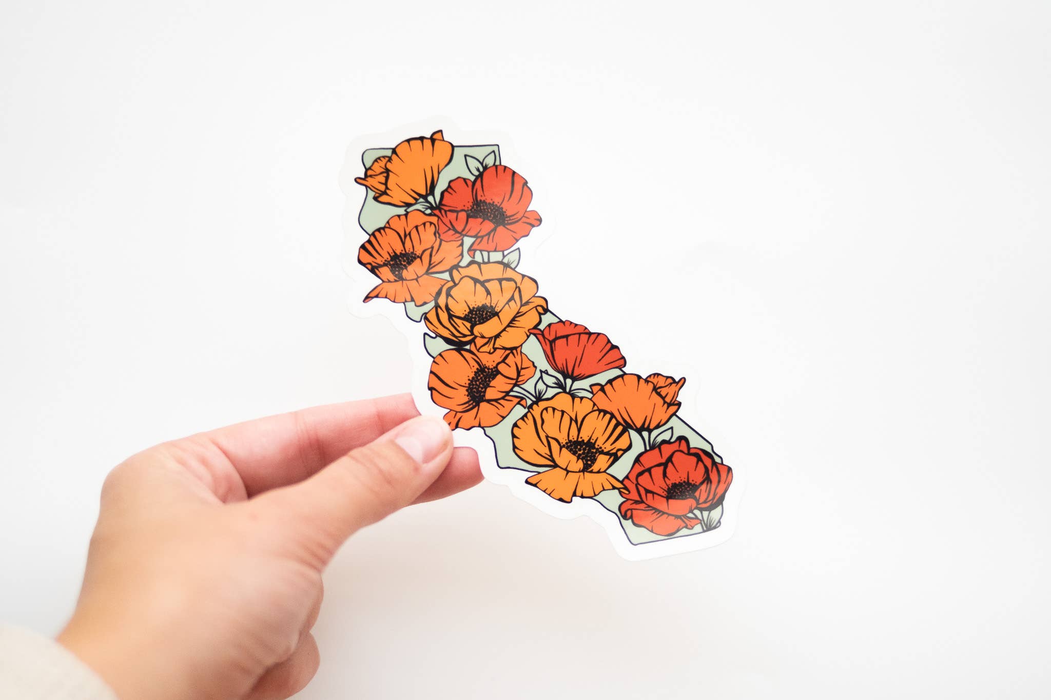 3" x 5" California Full of Poppies Vinyl Sticker (Large)