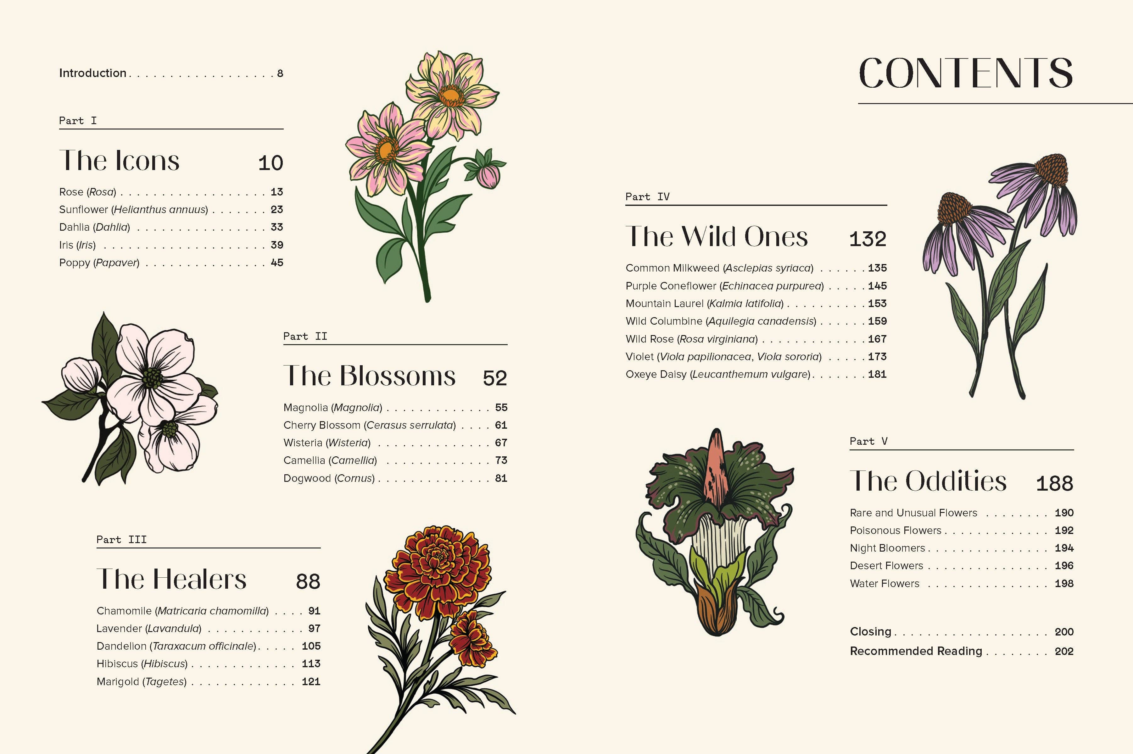 Floraphile's Almanac: An Illustrated Miscellany