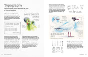 Birds in Watercolour - A Beginner's Guide