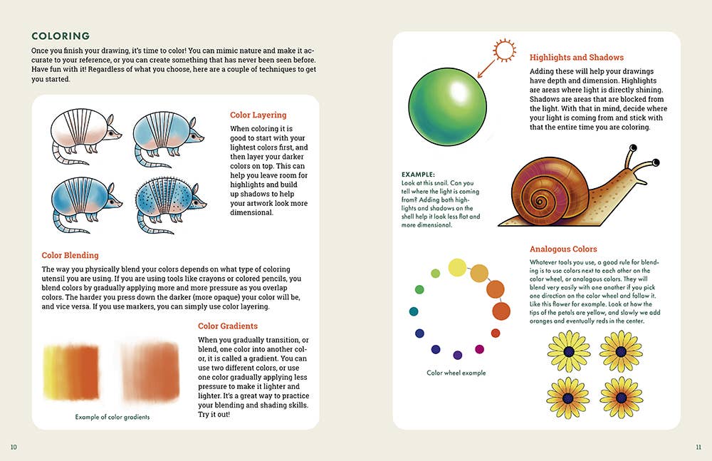 The Nature Explorer's Drawing Guide For Kids