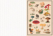 The Collage Compendium