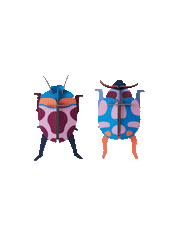 Coccinelle Couple - DIY Wall Art Kit