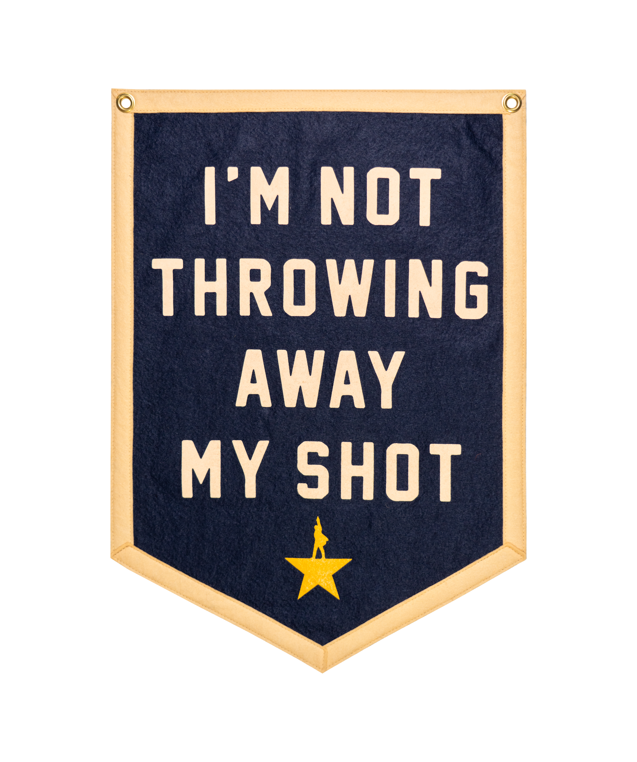 I'm Not Throwing Away My Shot Camp Flag