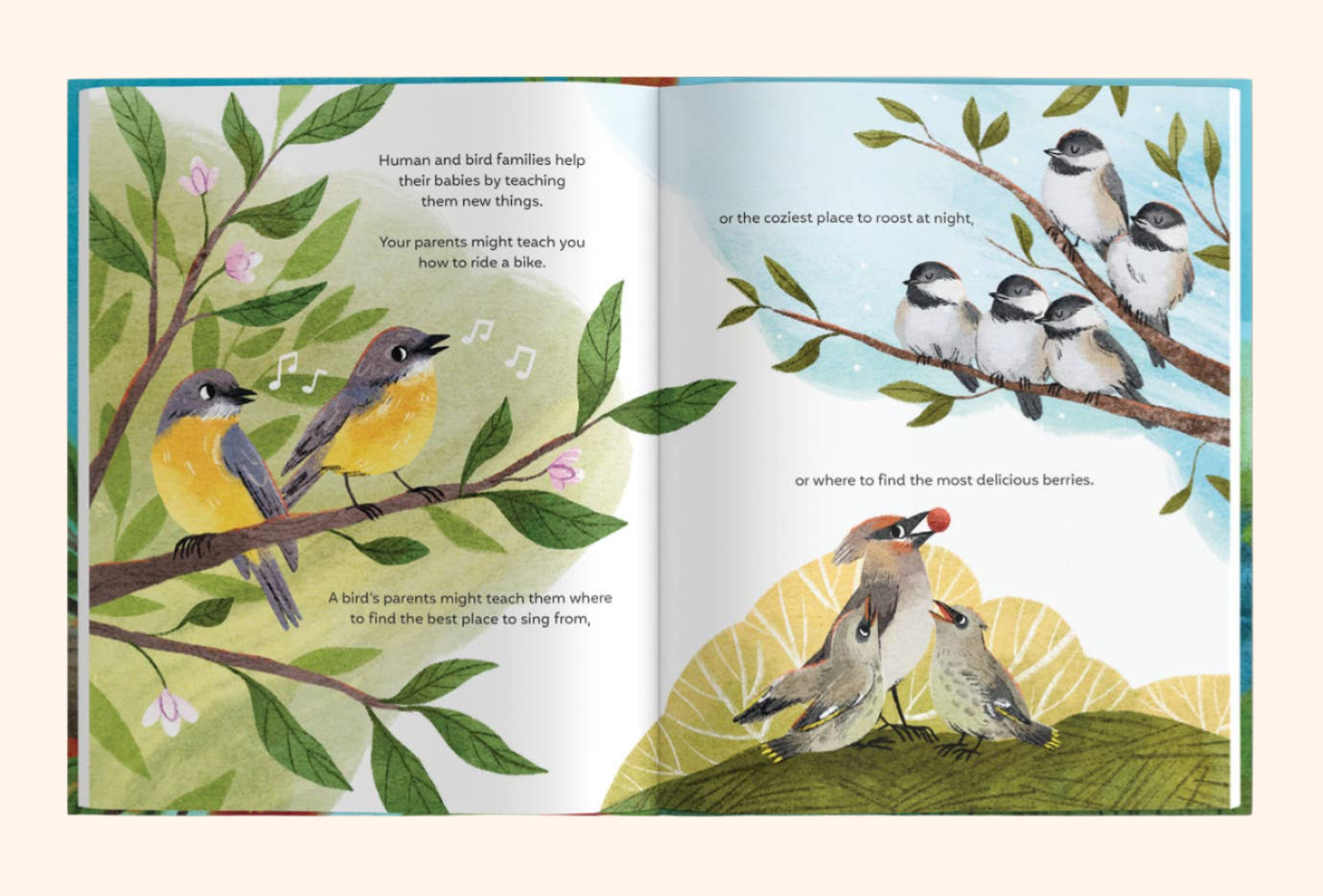 Families of a Feather: A Celebration of Family Diversity