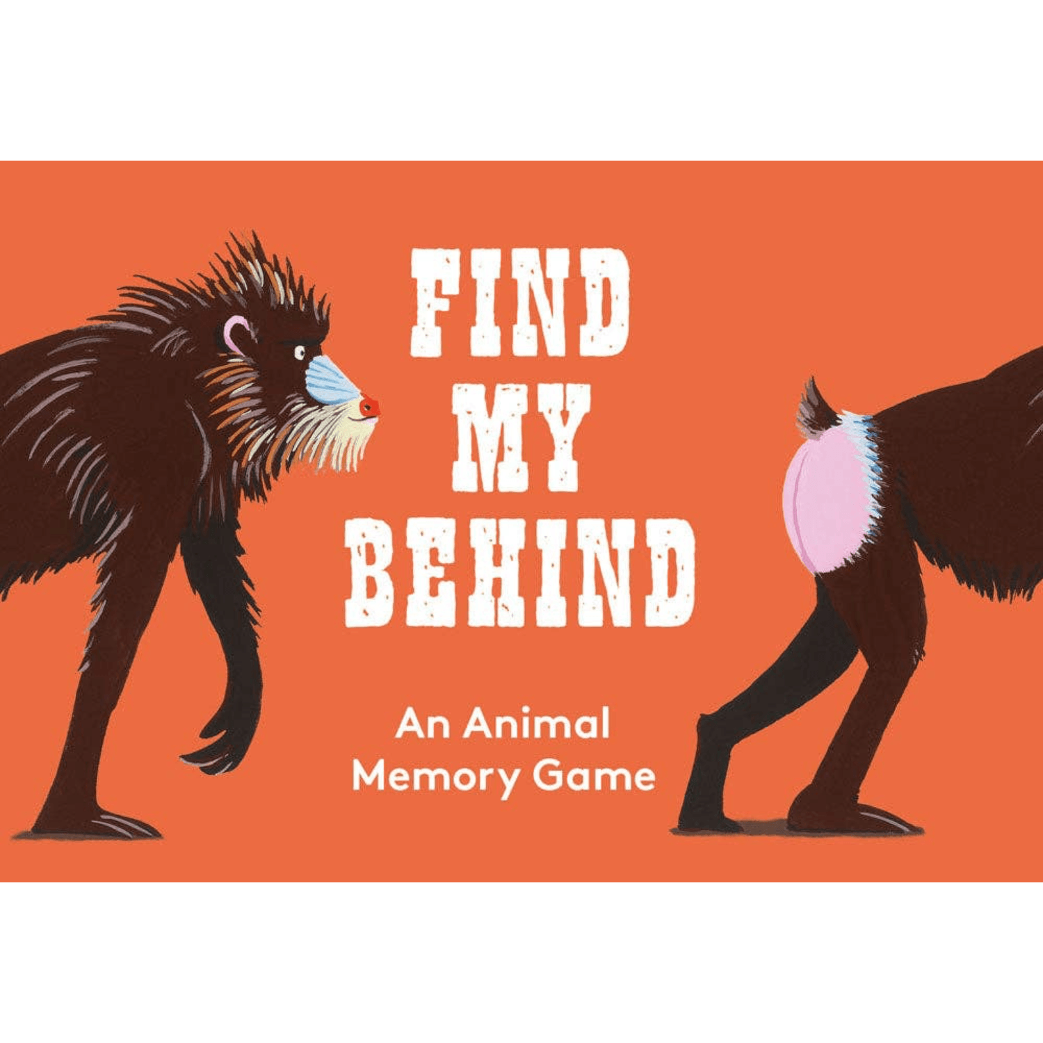 Find My Behind | An Animal Memory Game