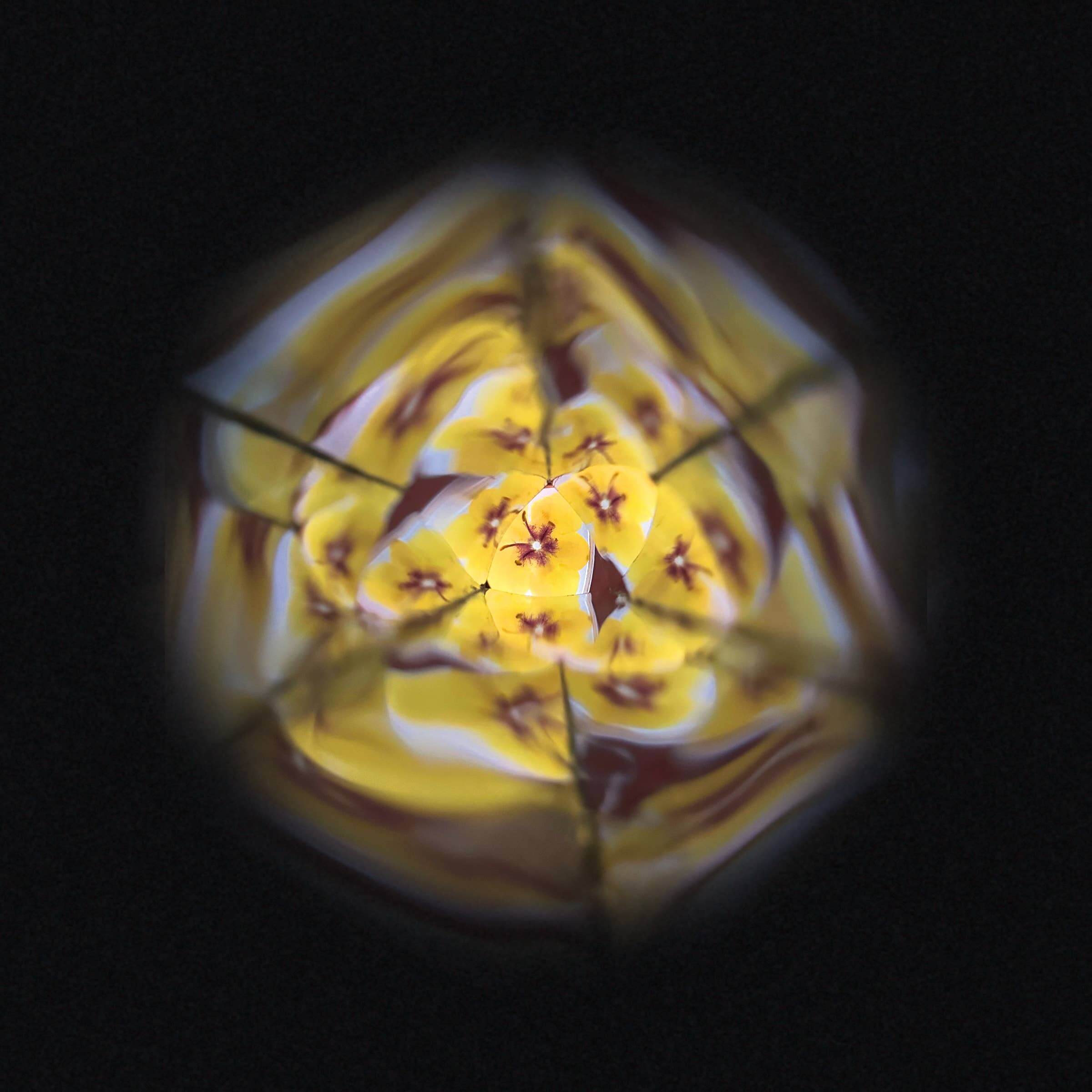 Flower | Kaleidoscope