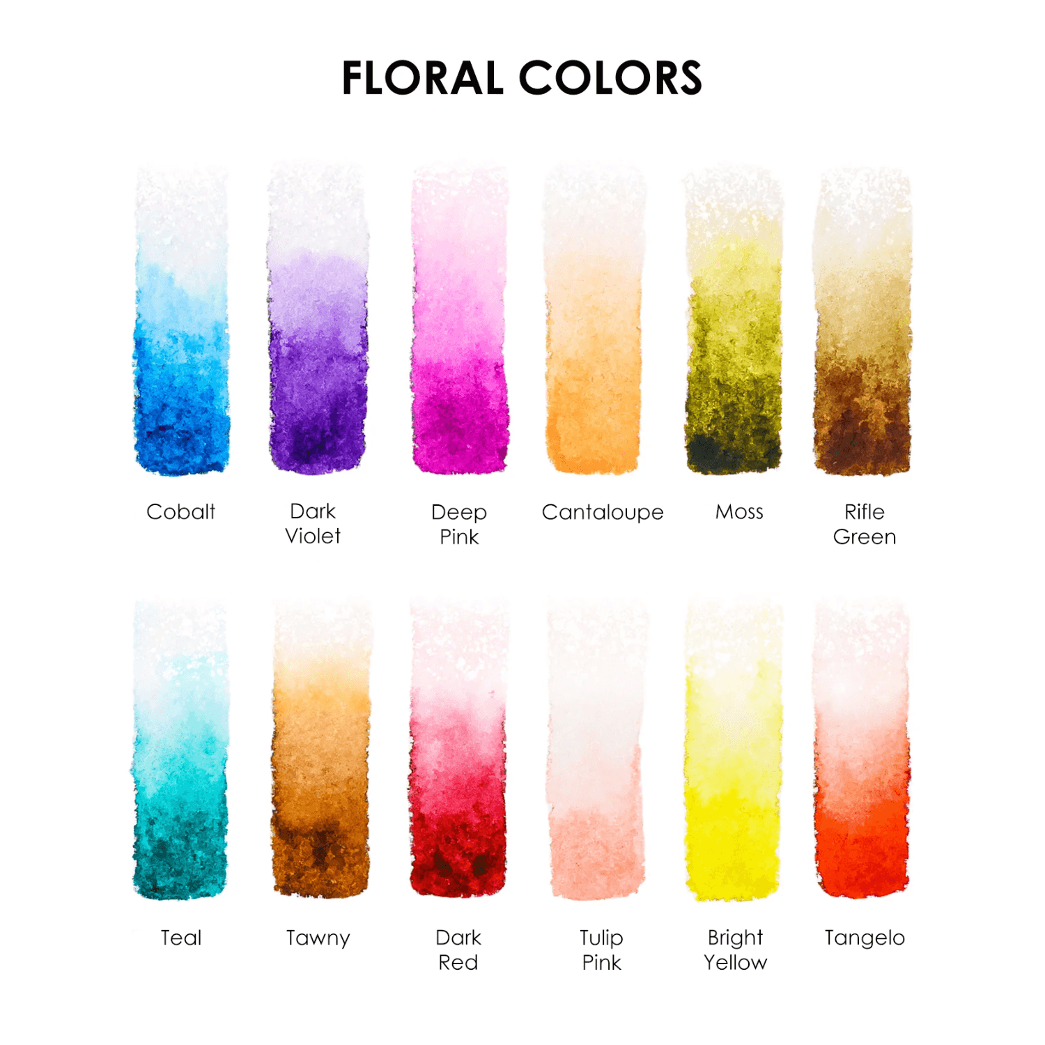 Color swatches labeled with floral color names on a white background