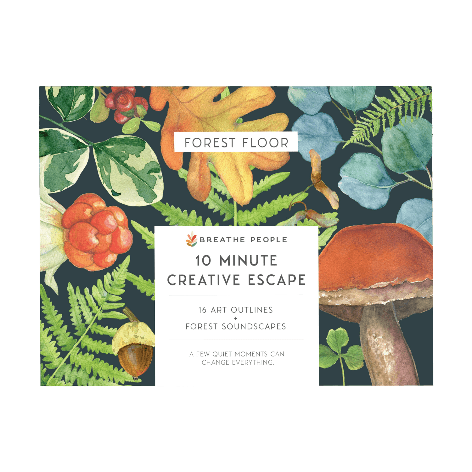 A cover design for a forest-themed art outline pack titled 'Forest Floor' by Breathe People. The artwork features watercolor-style botanical elements including green ferns, orange berries, a brown mushroom, and autumn leaves on a dark background, with a central white text panel reading '10 Minute Creative Escape' and '16 Art Outlines Forest Soundscapes.