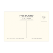 Greetings from the Desert | Postcard 