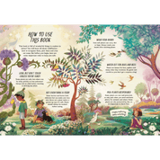 A Guide to Plants for Little Witchlings