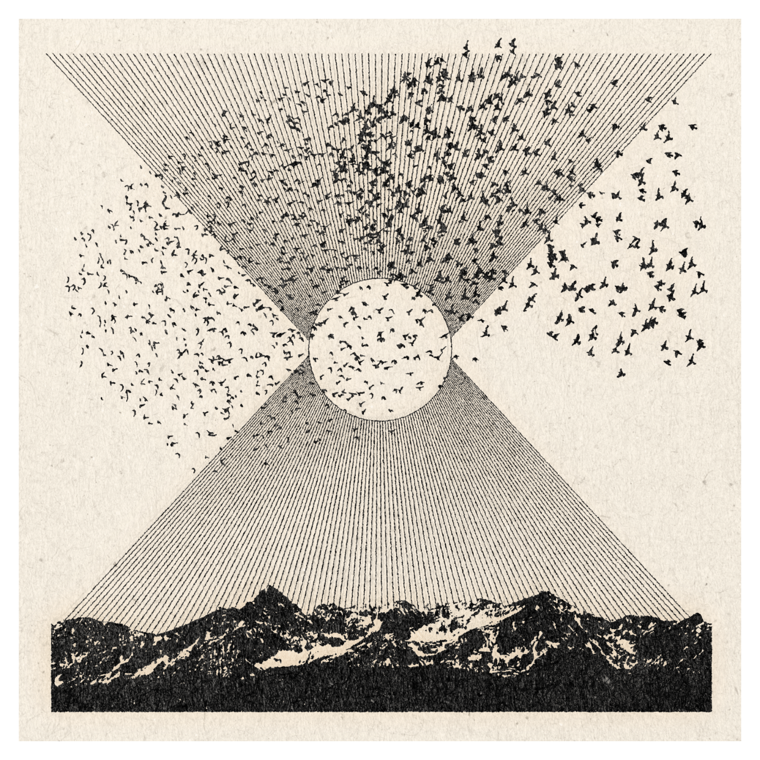 In Formation | 11" x 11" | Art Print