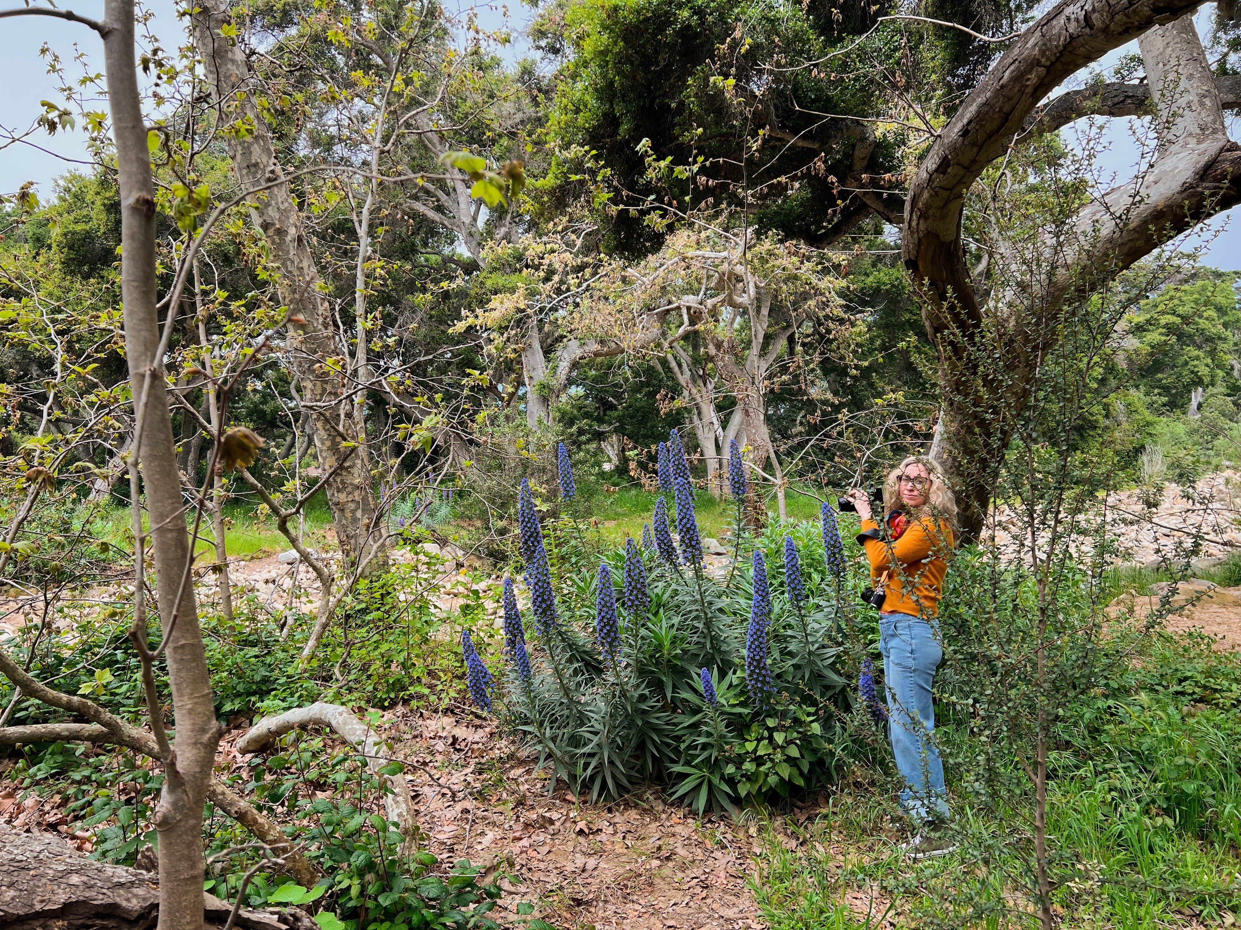 jen-portrait-monteico-hike-arthouseandco-ACS_2012_7330fb9b-32c4-41de-9b62-657bb4cd29fa.jpg