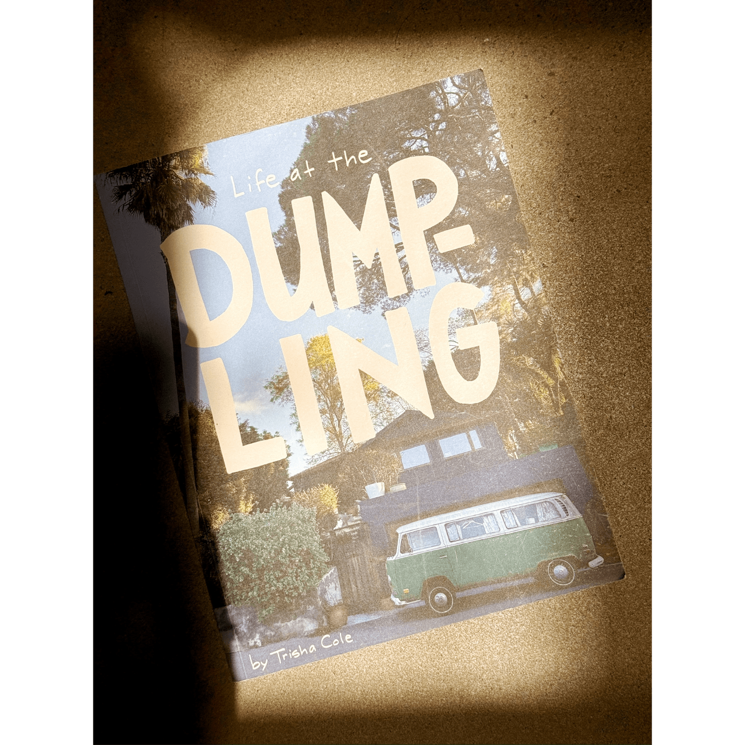 Life at the Dumpling