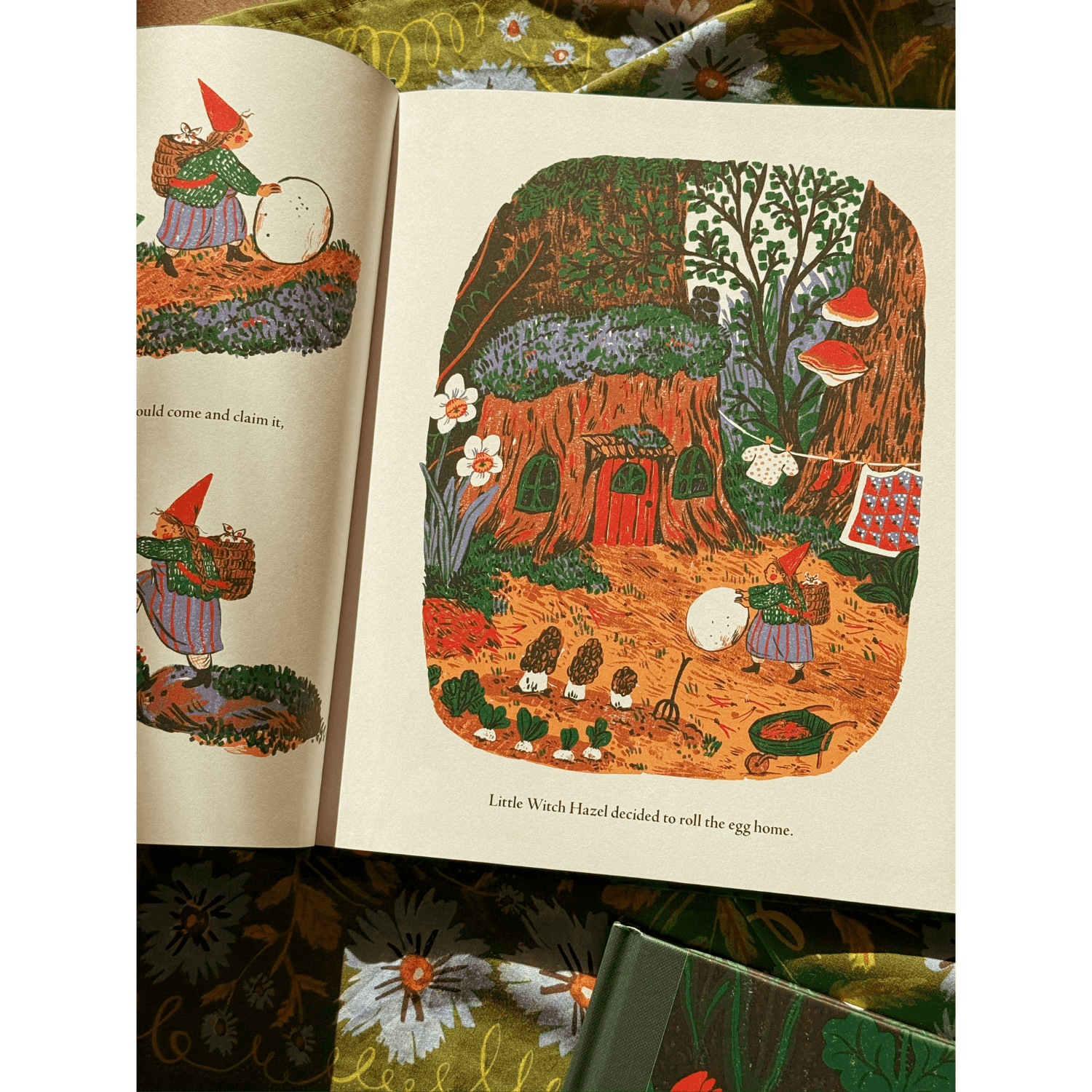 Little Witch Hazel: A Year in the Forest | Gift Edition