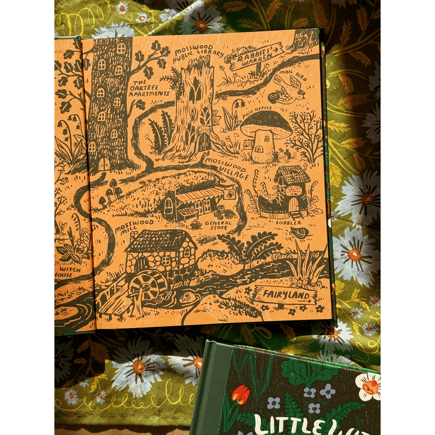 Little Witch Hazel: A Year in the Forest | Gift Edition