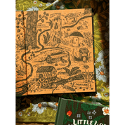 Little Witch Hazel: A Year in the Forest | Gift Edition