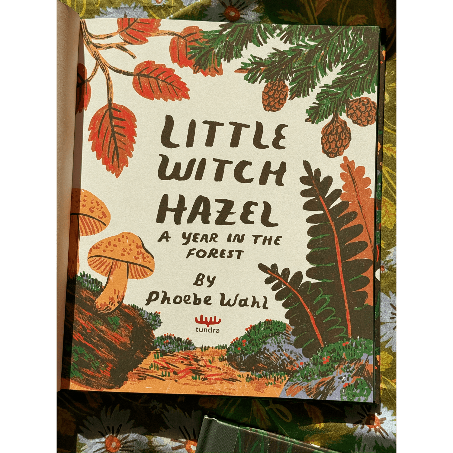 Little Witch Hazel: A Year in the Forest | Gift Edition