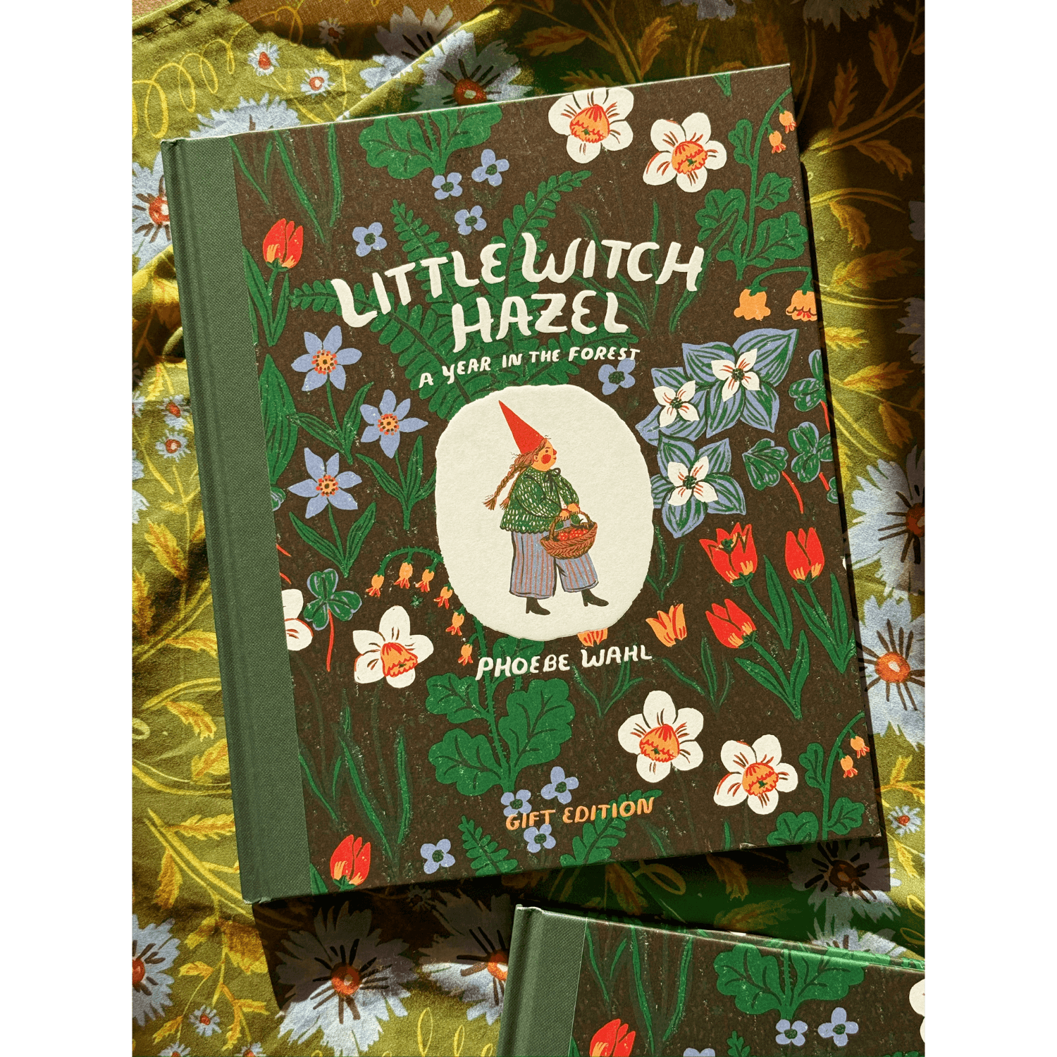 Little Witch Hazel: A Year in the Forest | Gift Edition