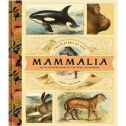 Mammalia | Visual Encyclopedia