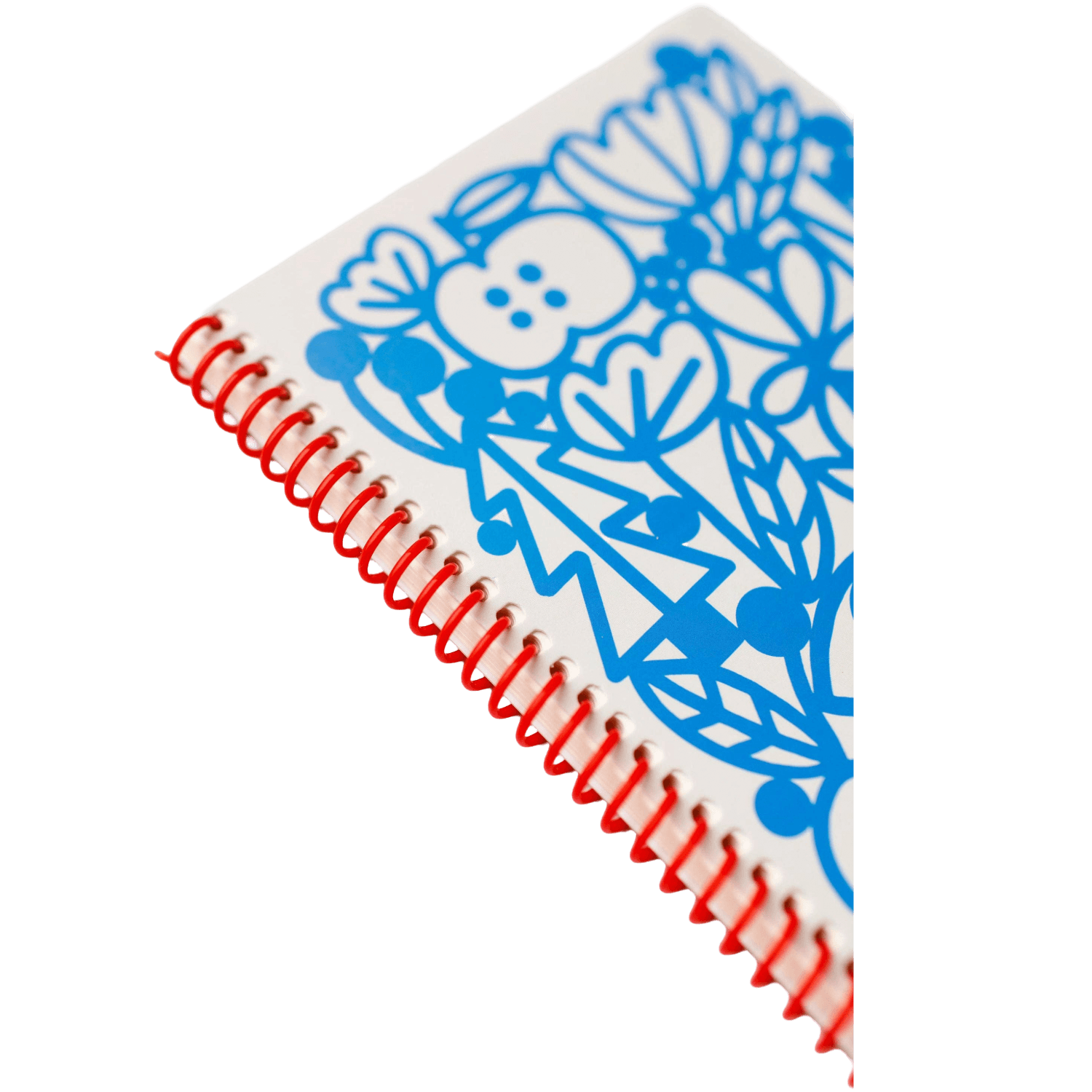 Manzanita Blue | Journal