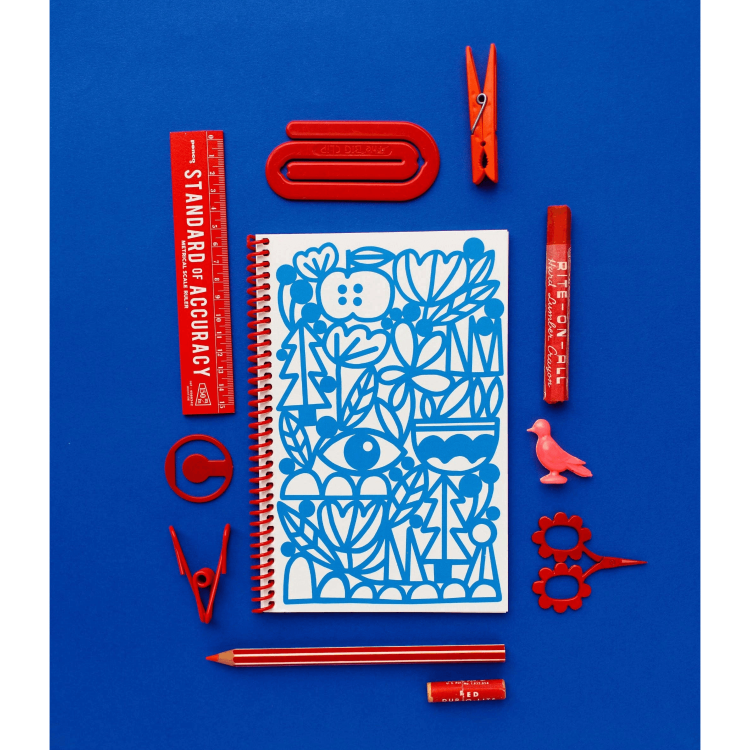 Manzanita Blue | Journal