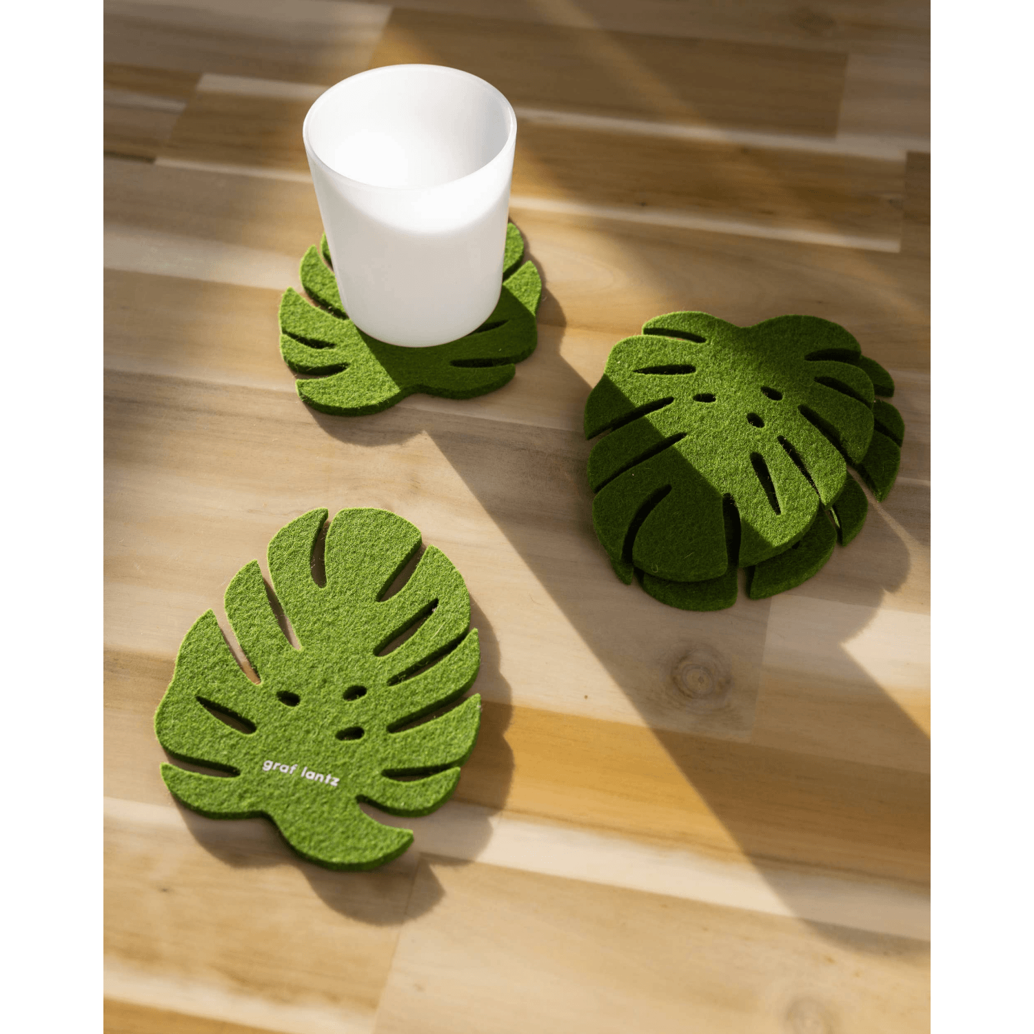 Loden Green Monstera | Merino Wool Coaster Set