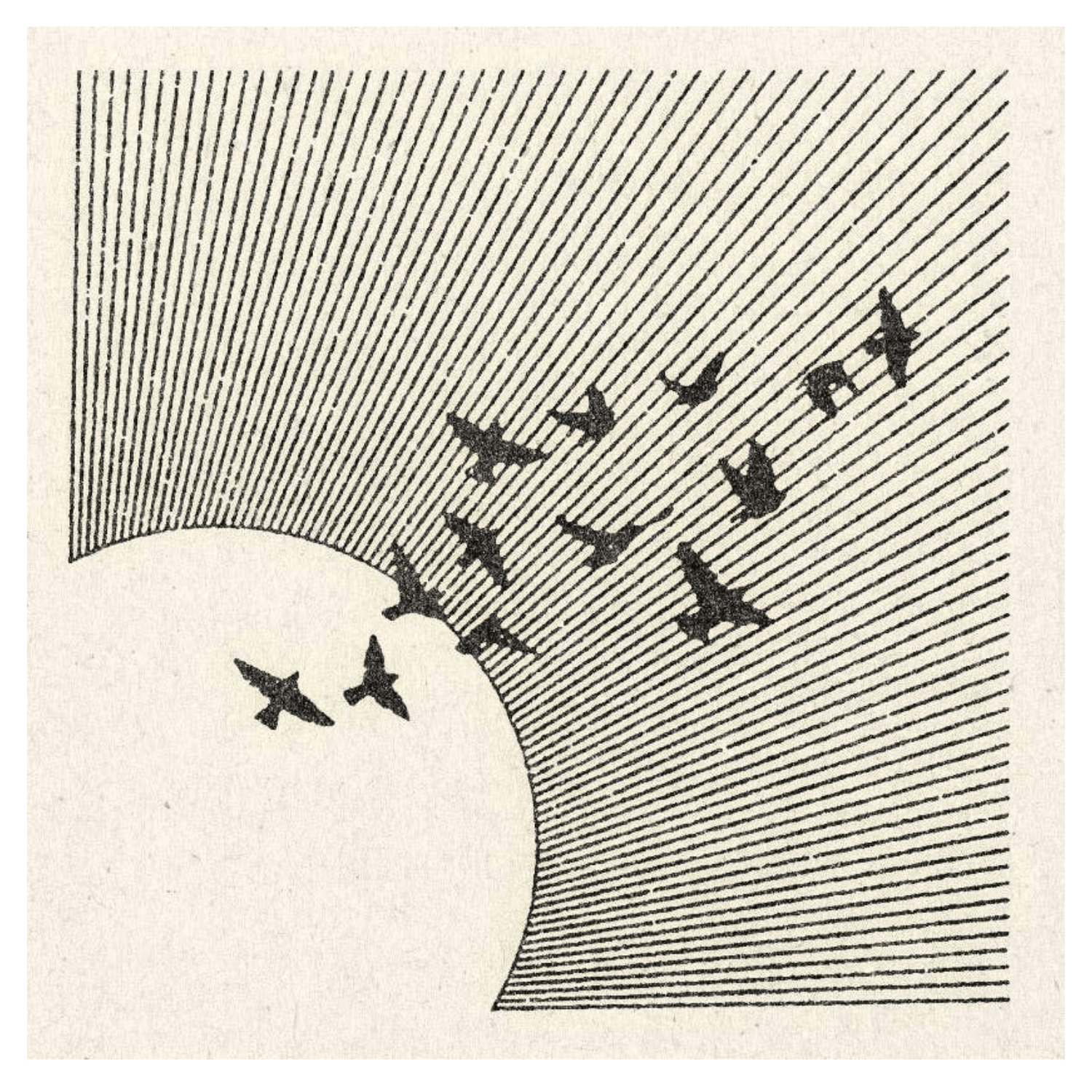 Mid Air | 11" x 11" | Art Print