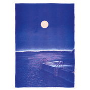 Midnight Bath | Art Print | Manon Diemer A3 Poster