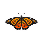 Monarch Butterfly, California Poppy | Sticker