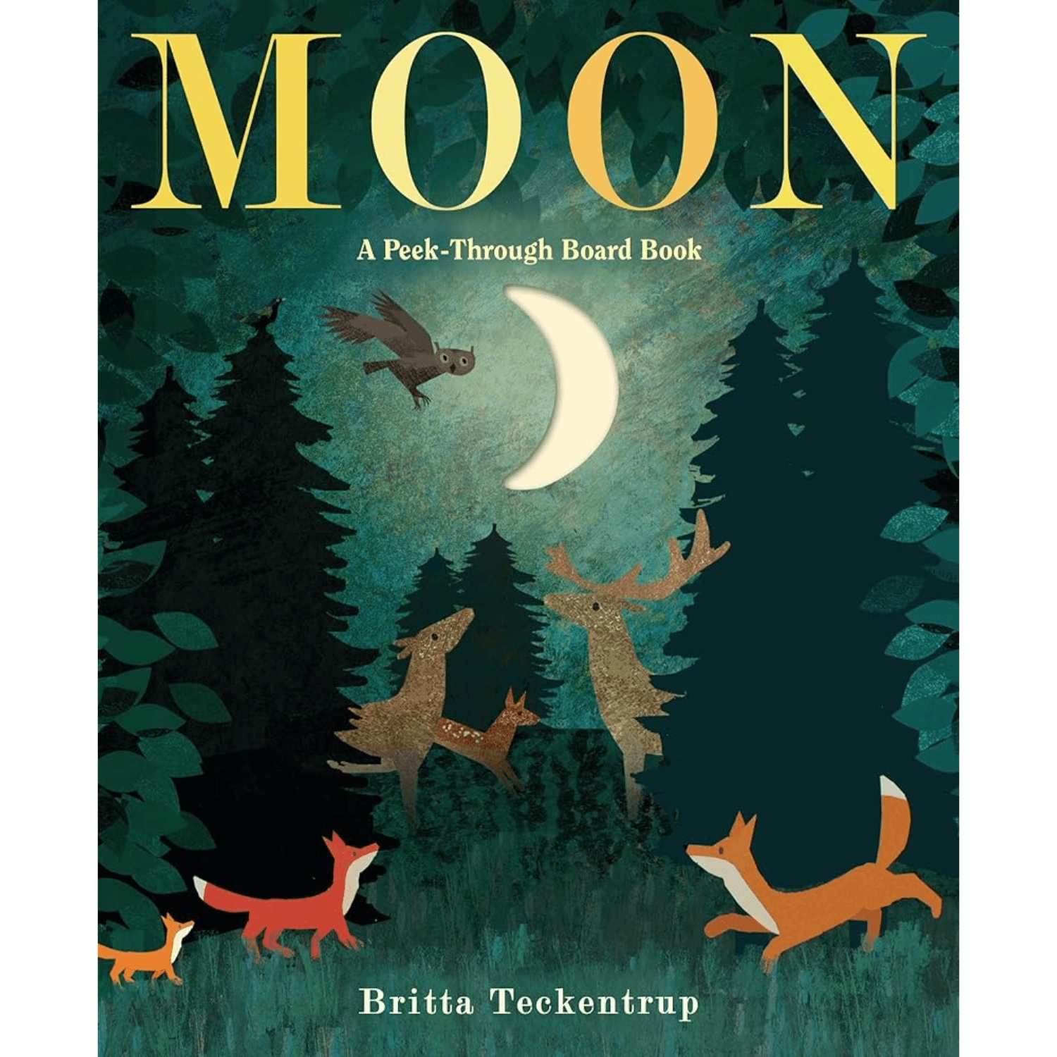 moon-a-peek-through-board-book.png