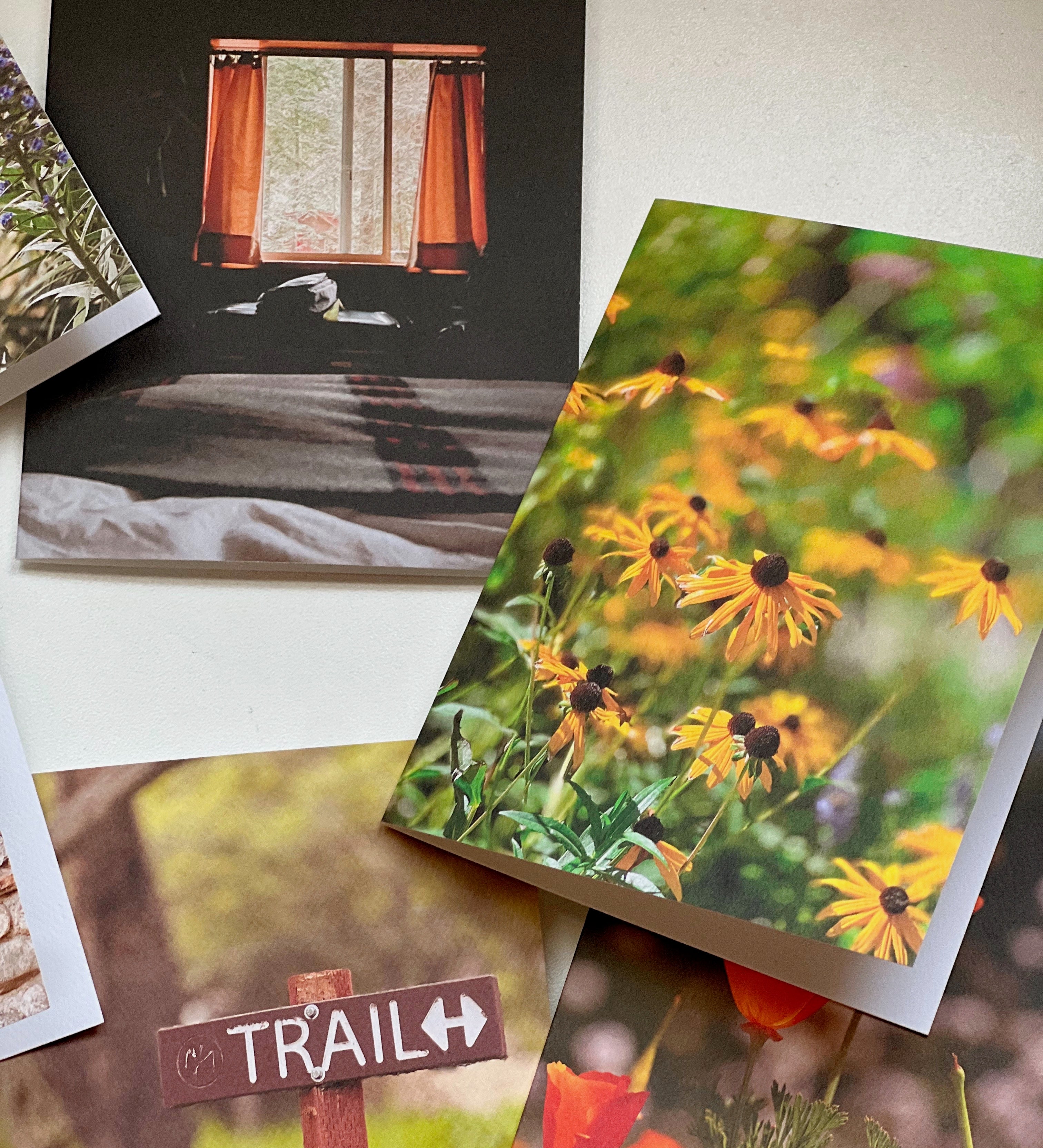 on-the-trail-set-1-arthouseandco-10-ACS_2132_5ef70387-cbee-4d29-9022-2dff42f348f9.jpg