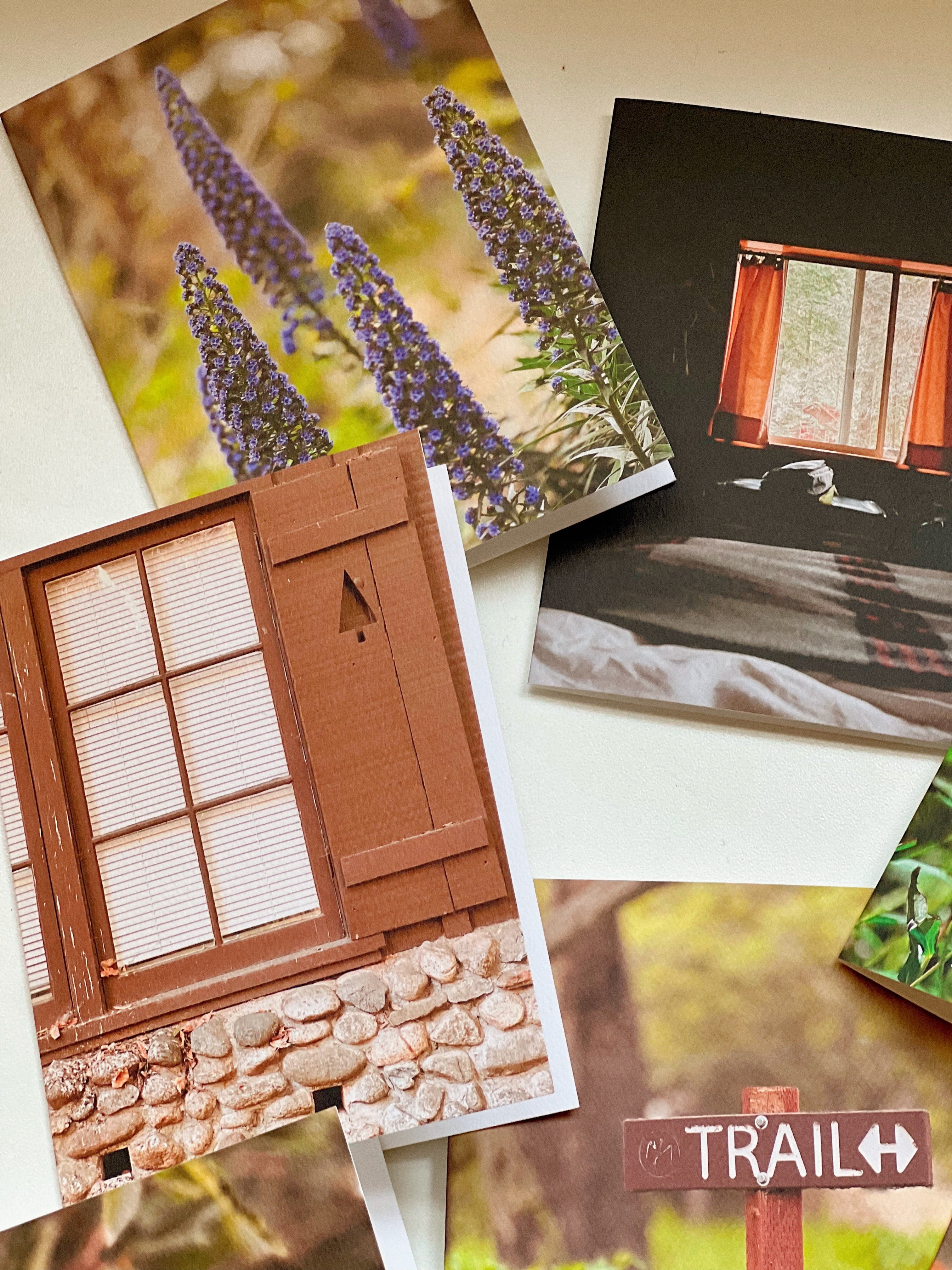 Forest Stay, Greeting Card