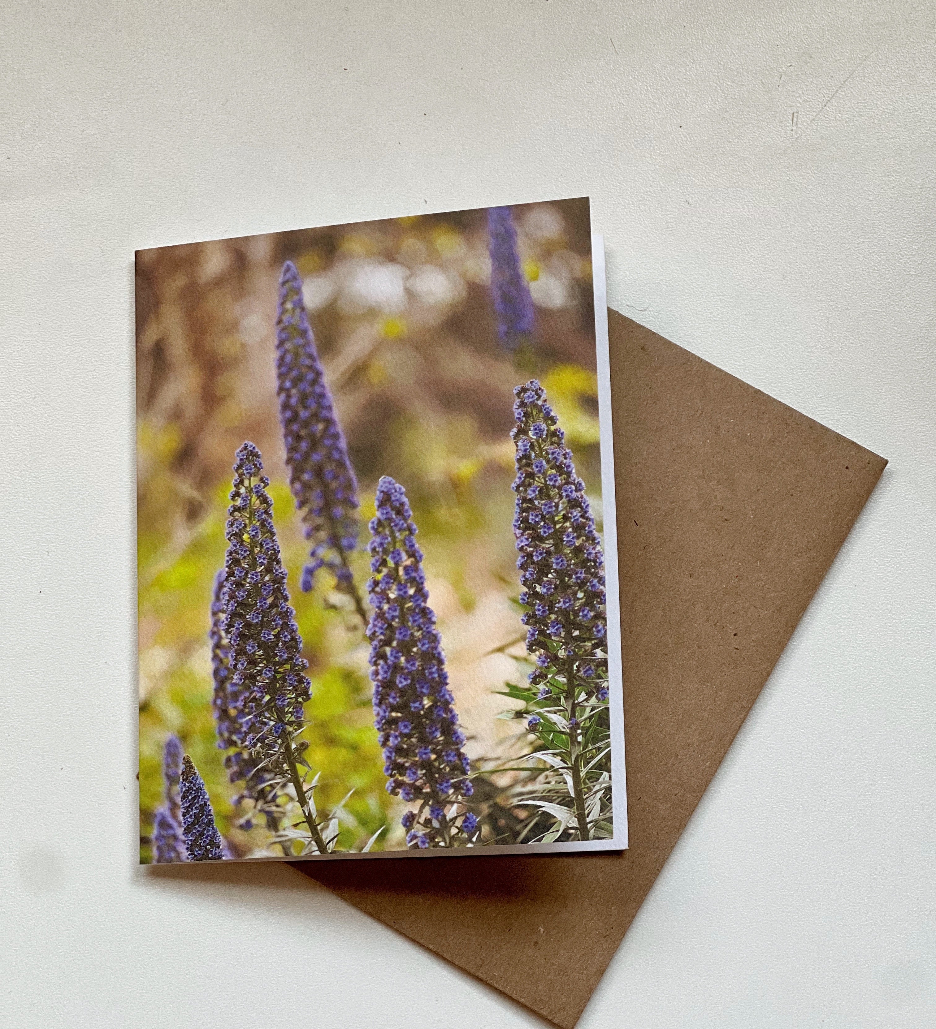 on-the-trail-set-1-arthouseandco-20-ACS_2142.jpg
