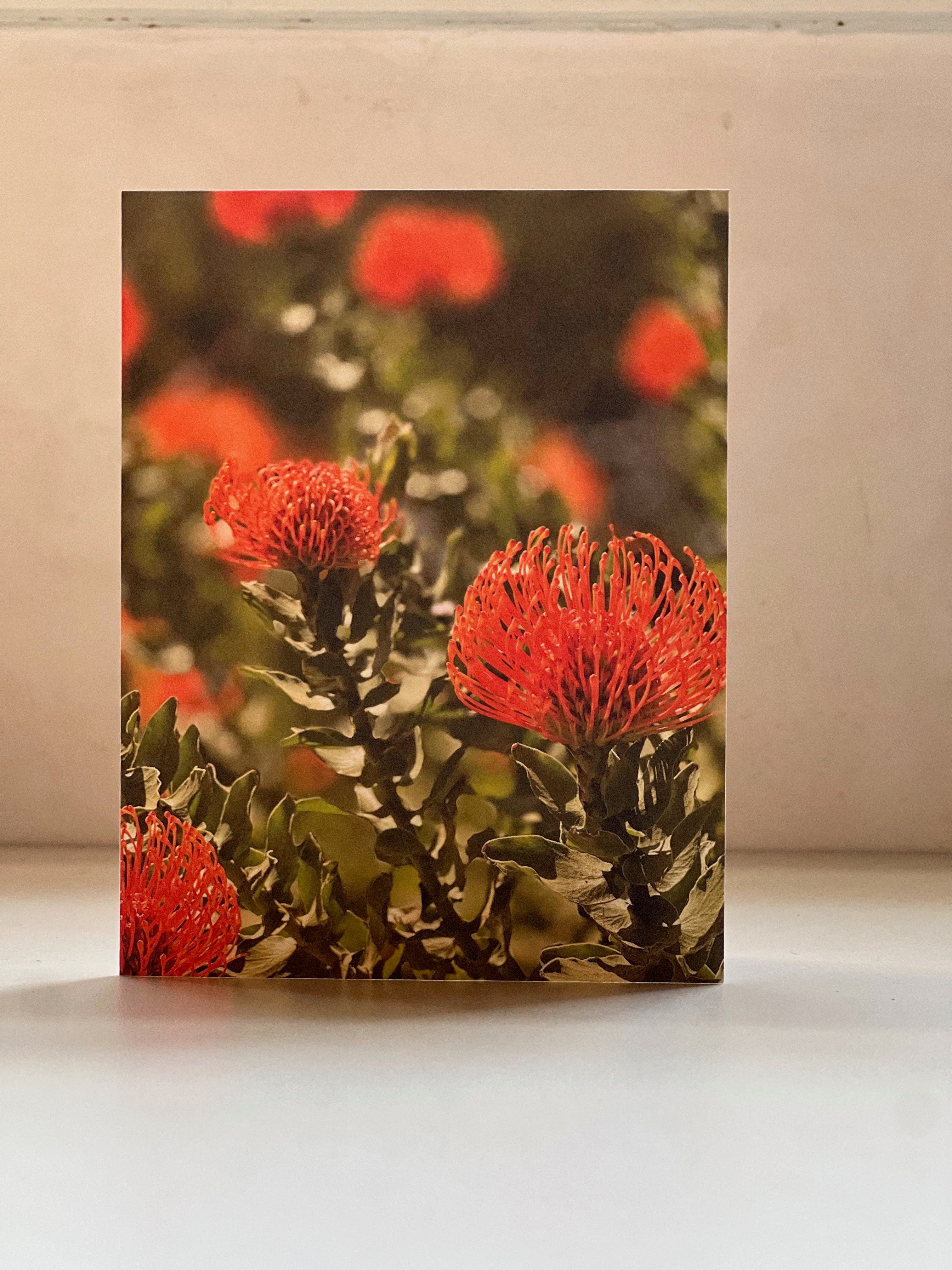 Protea, no.1 Greeting Card