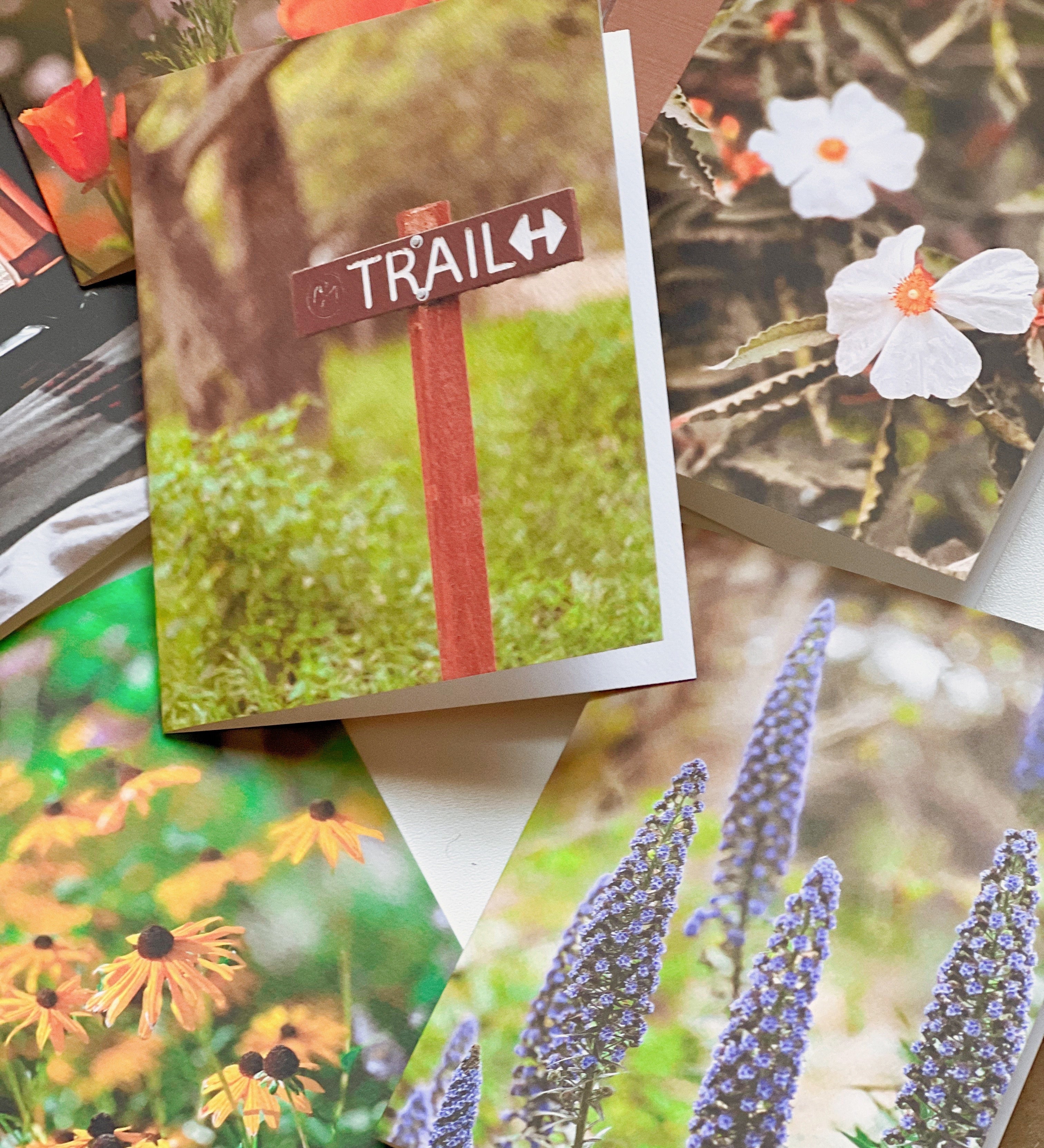 on-the-trail-set-1-arthouseandco-2ACS_2124_d64a6ad6-1f3f-49ec-bf9d-0eb58ed95a9d.jpg