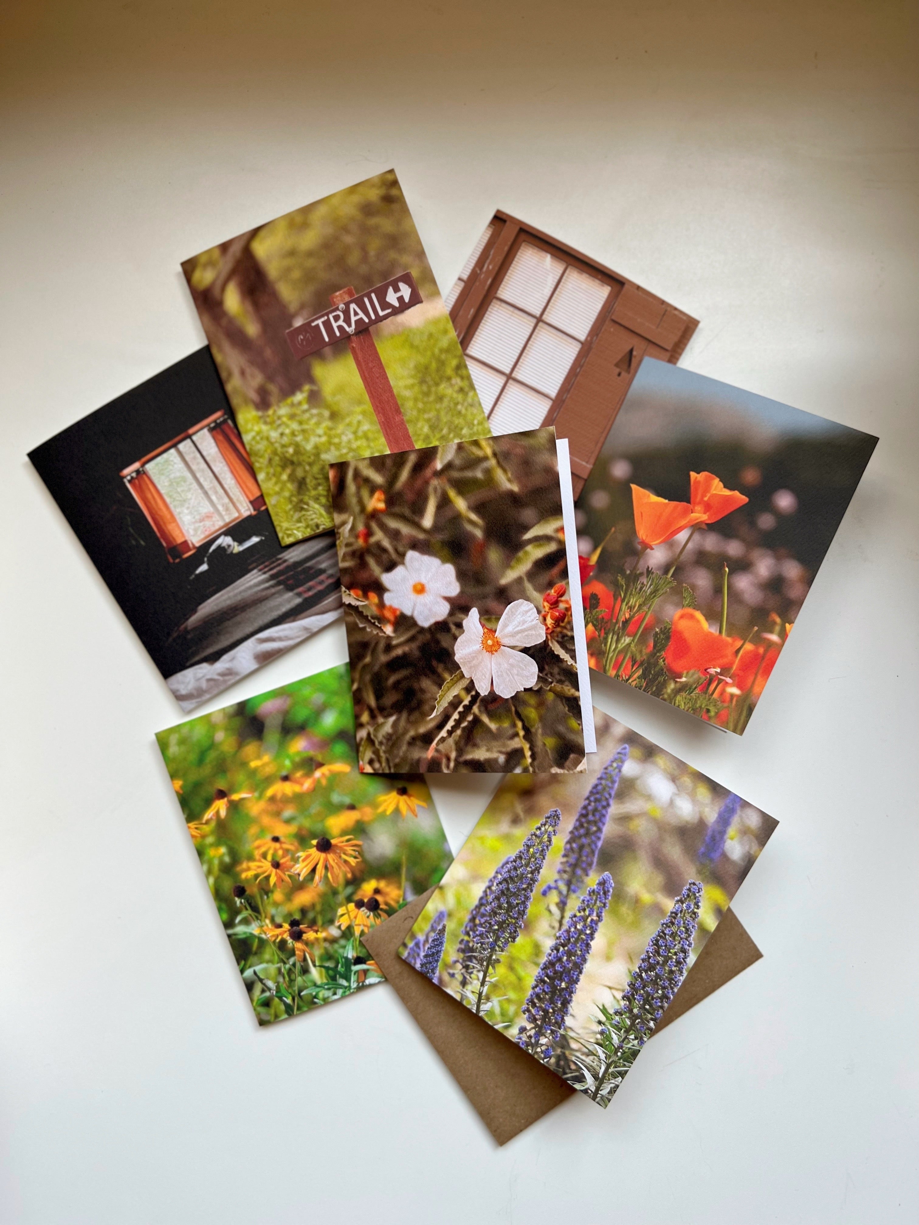 Forest Cabin, Greeting Card