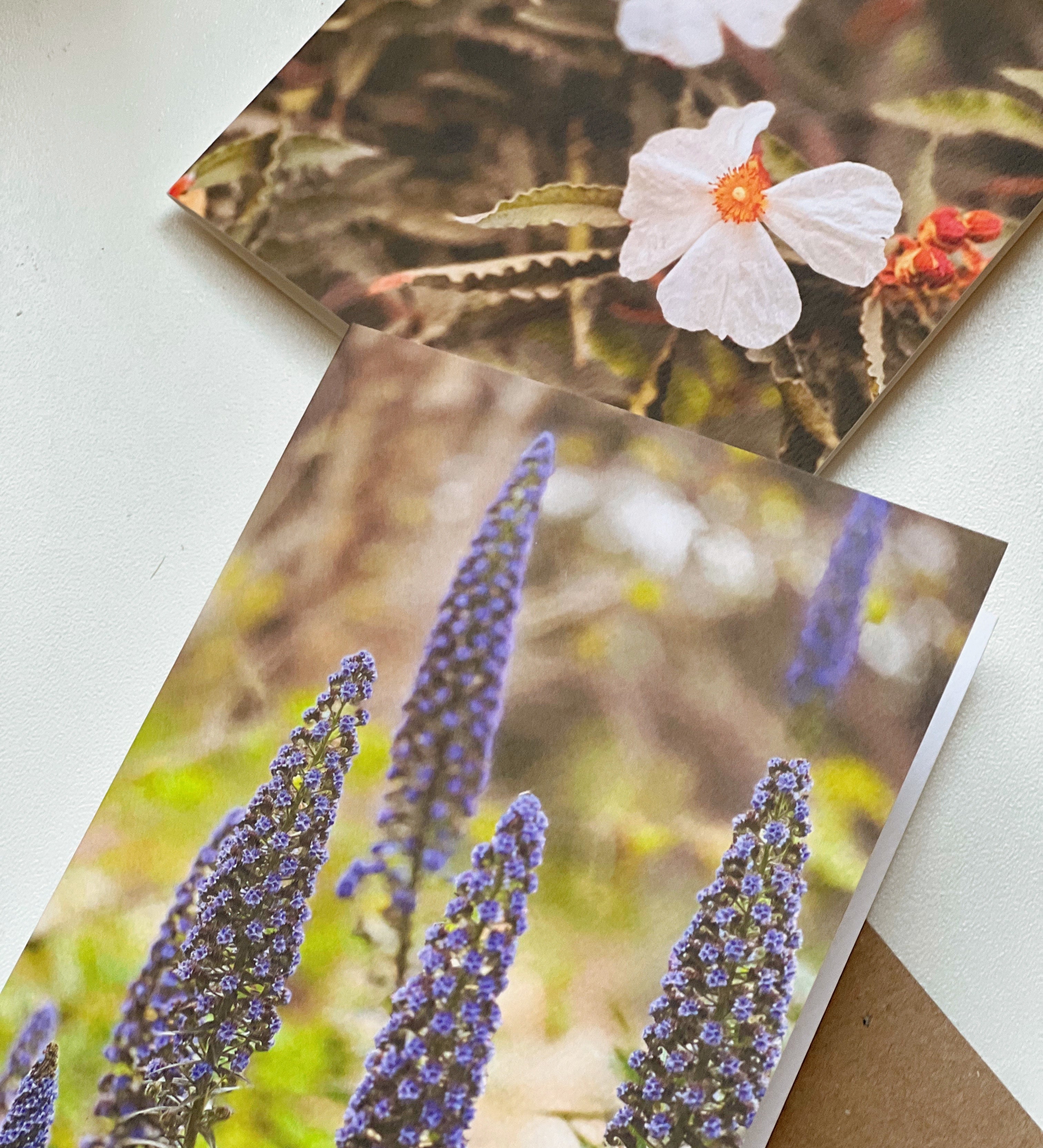 on-the-trail-set-1-arthouseandco-4ACS_2126.jpg