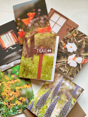 Forest Stay, Greeting Card
