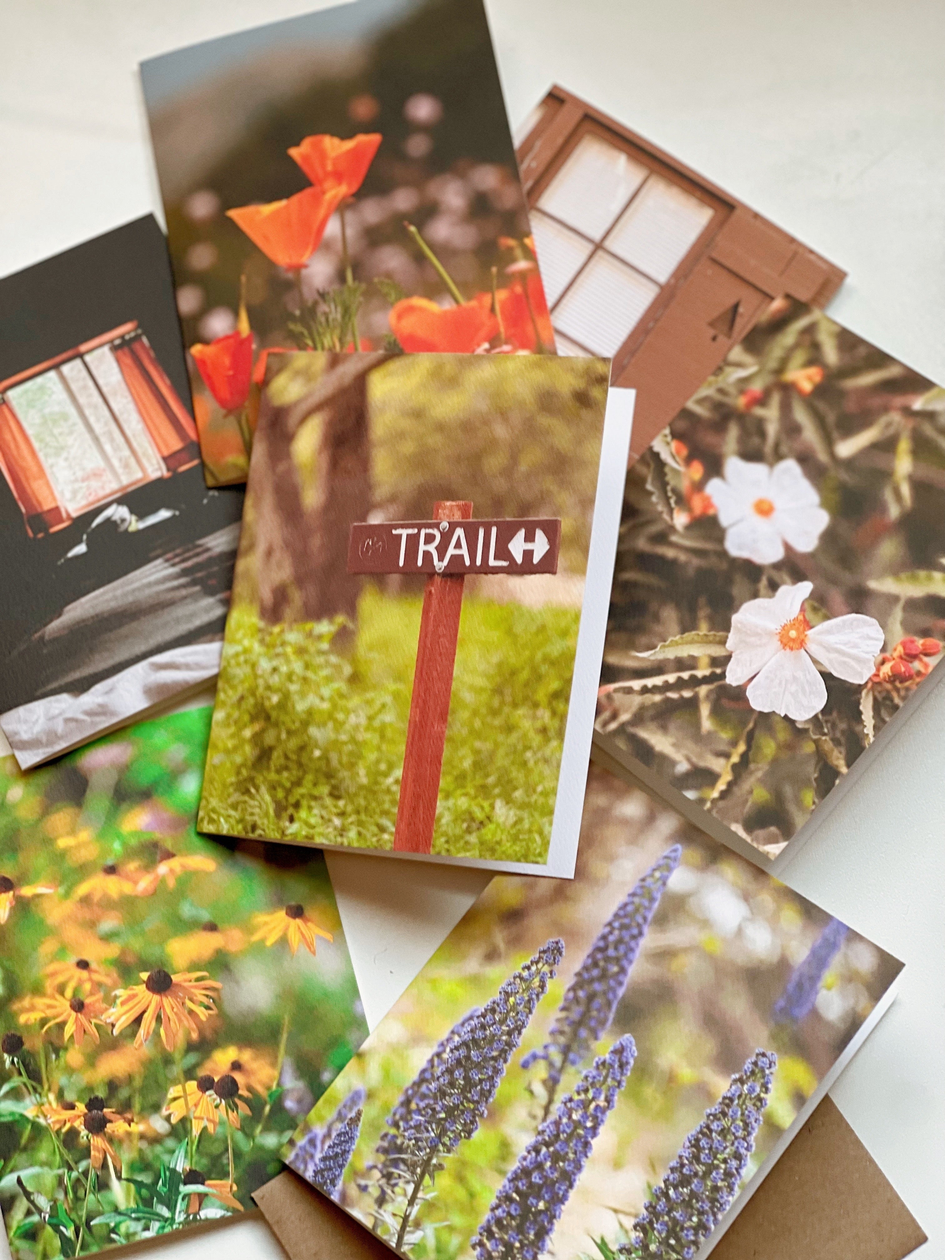 Forest Stay, Greeting Card