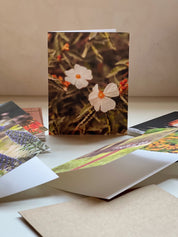 Wildflower in White, Greeting Card