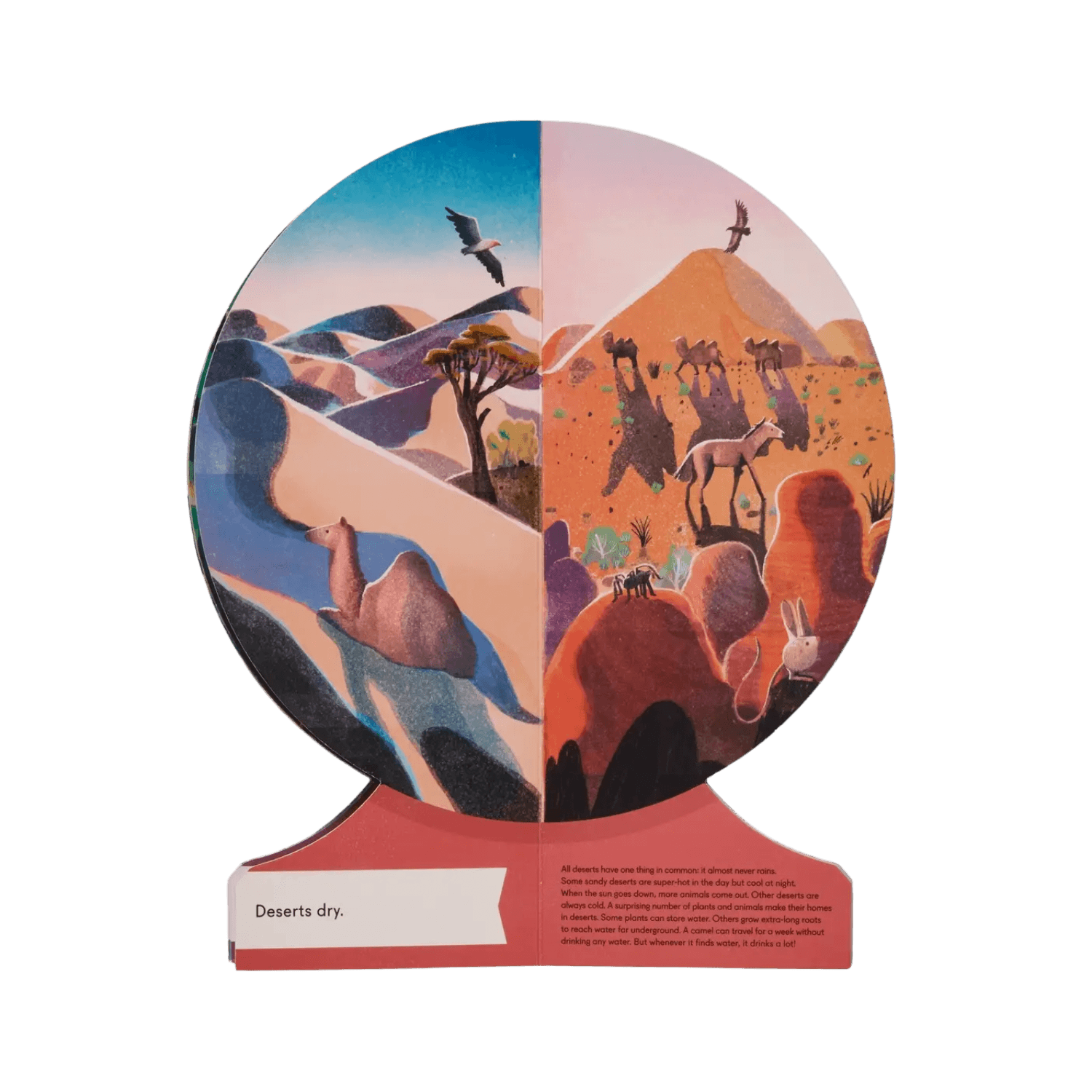 Our World: A First Book Of Geography, 2020 | PHAIDON