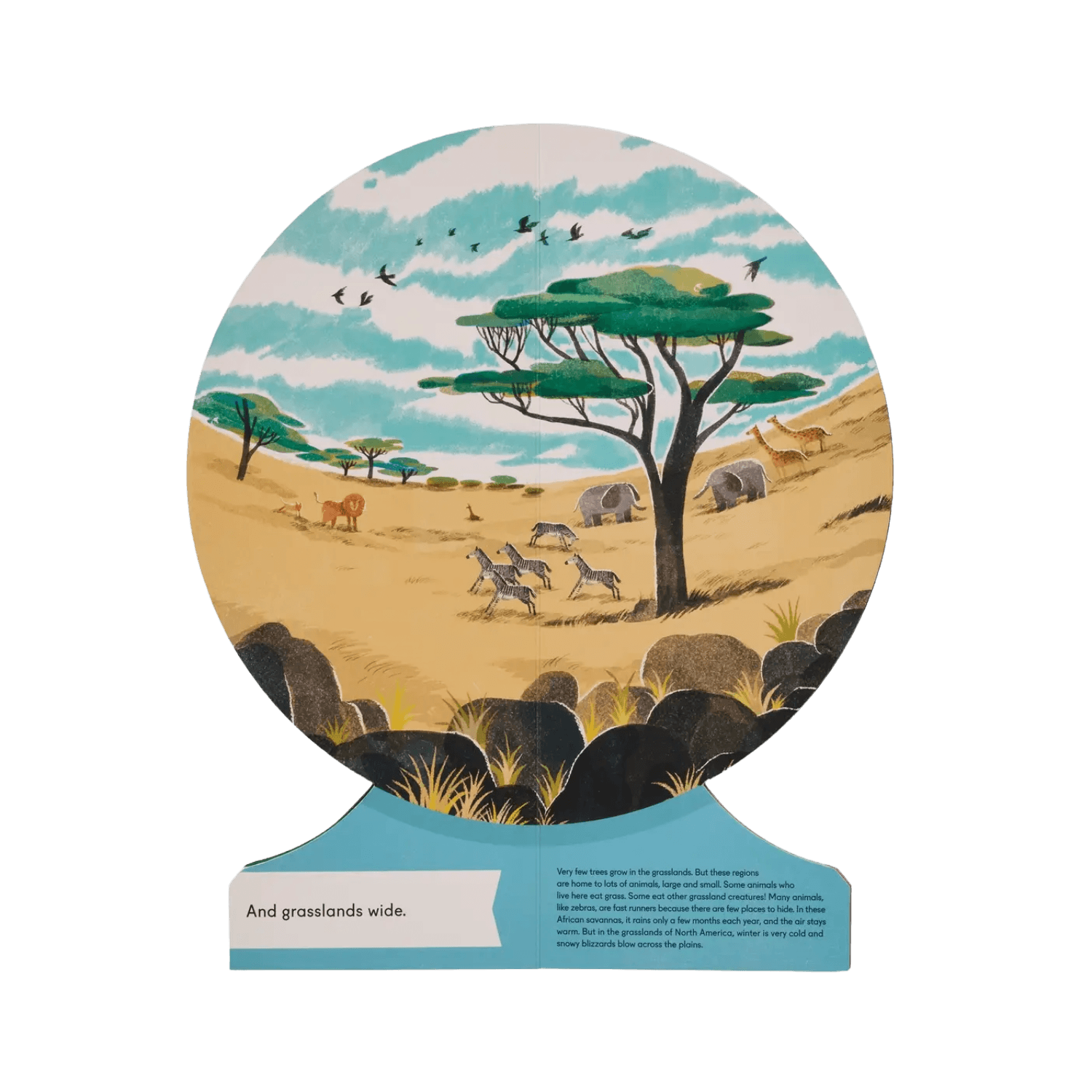 Our World: A First Book Of Geography, 2020 | PHAIDON