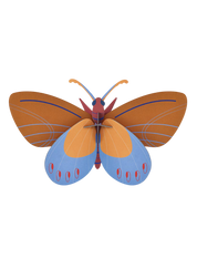 Ochre Costa Butterfly - 3D DIY Wall Art Kit