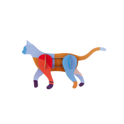 Missis Mochi - A Cat 3D DIY Art Kit