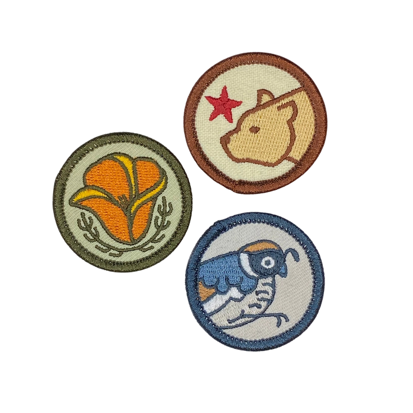 CA Merit Badges Iron On Patch