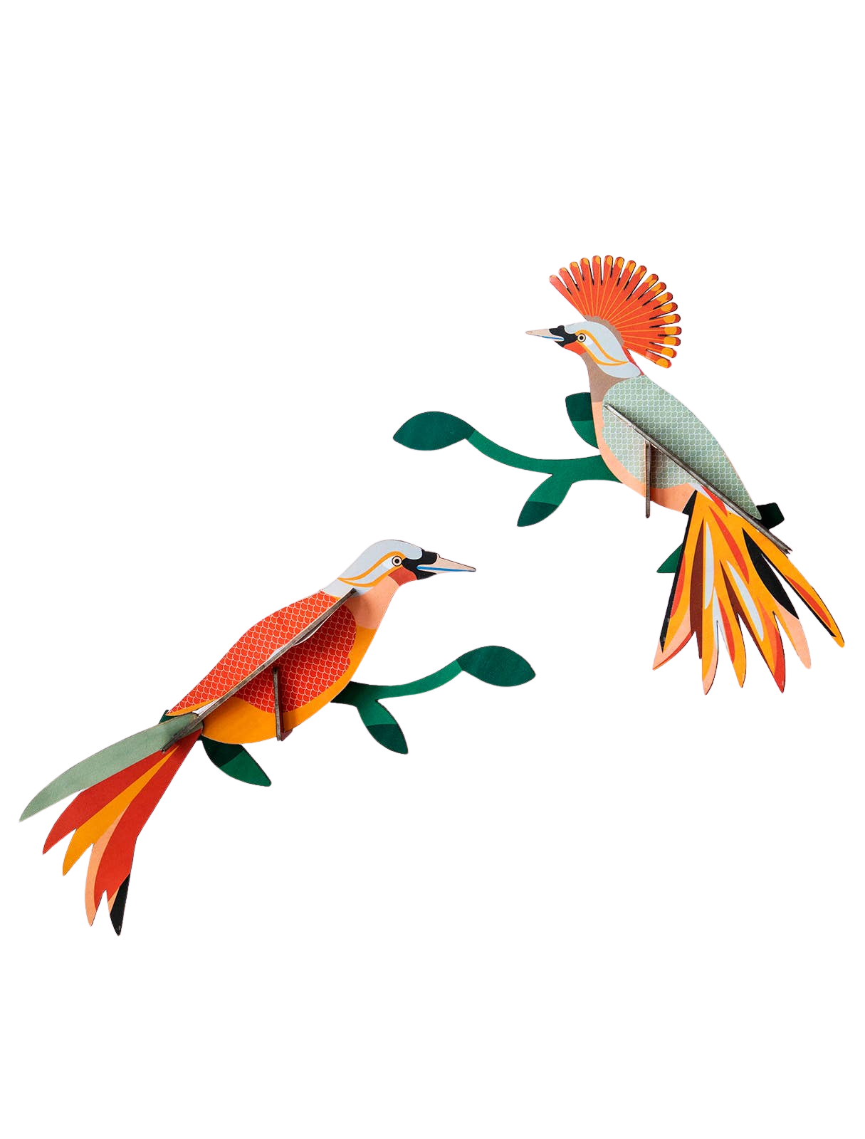 Obi Paradise Bird - 3D Paper Craft Kit
